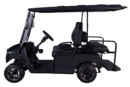 Golf Carts / W3