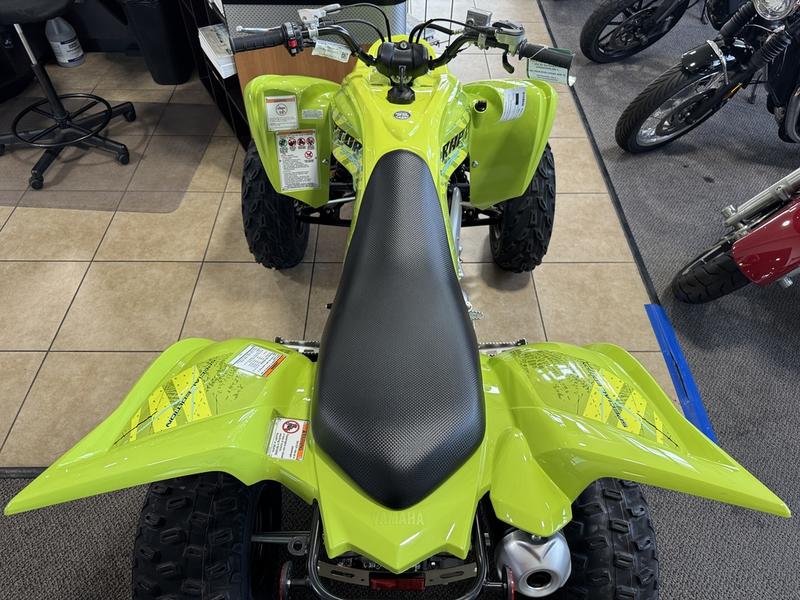 2025 Yamaha Raptor 700R SE ATV - Image 4