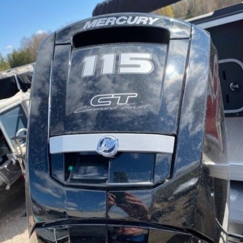 Mercury EFI outboard engine